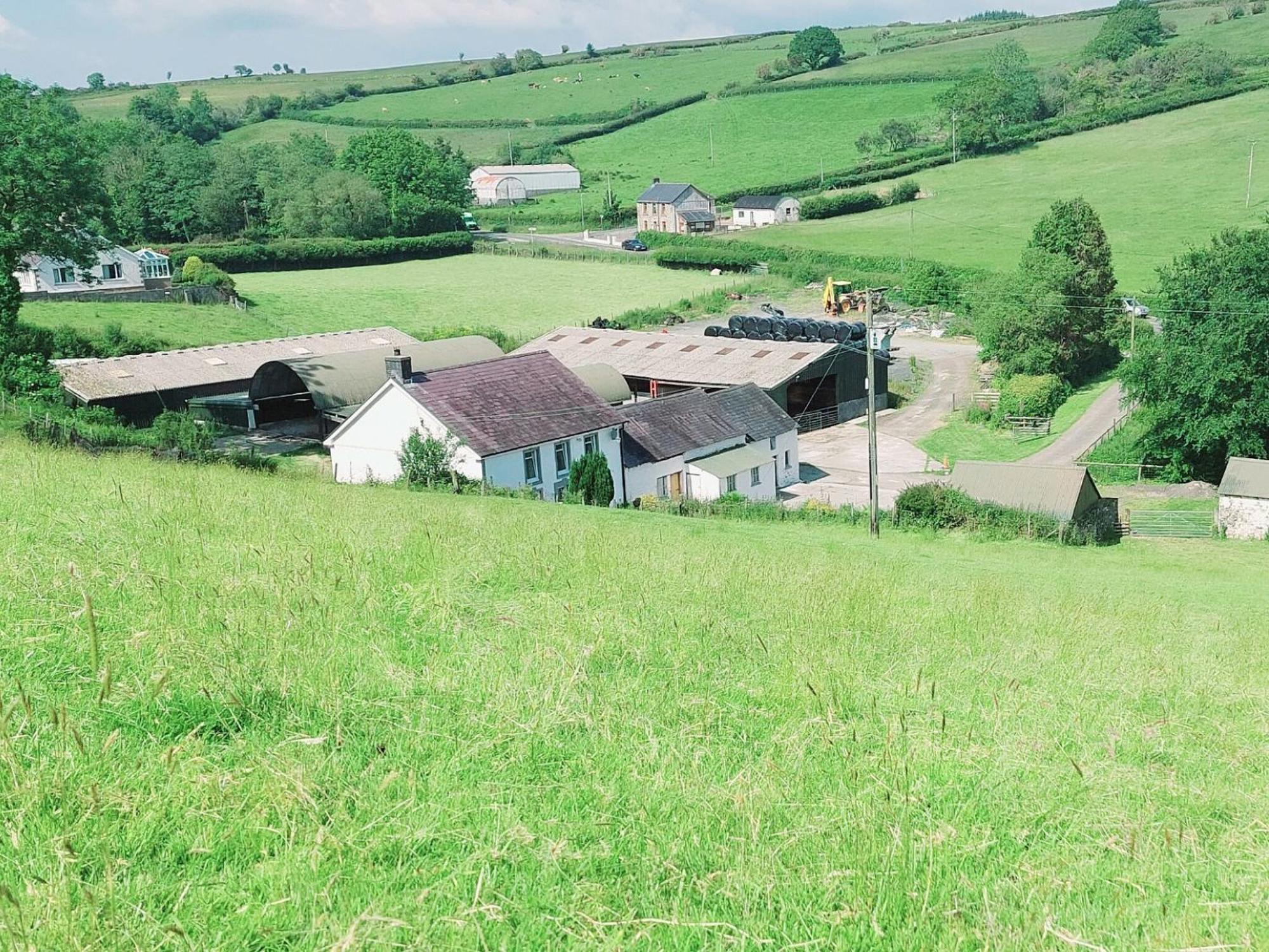 Typicca Farmhouse Brechfa Dış mekan fotoğraf